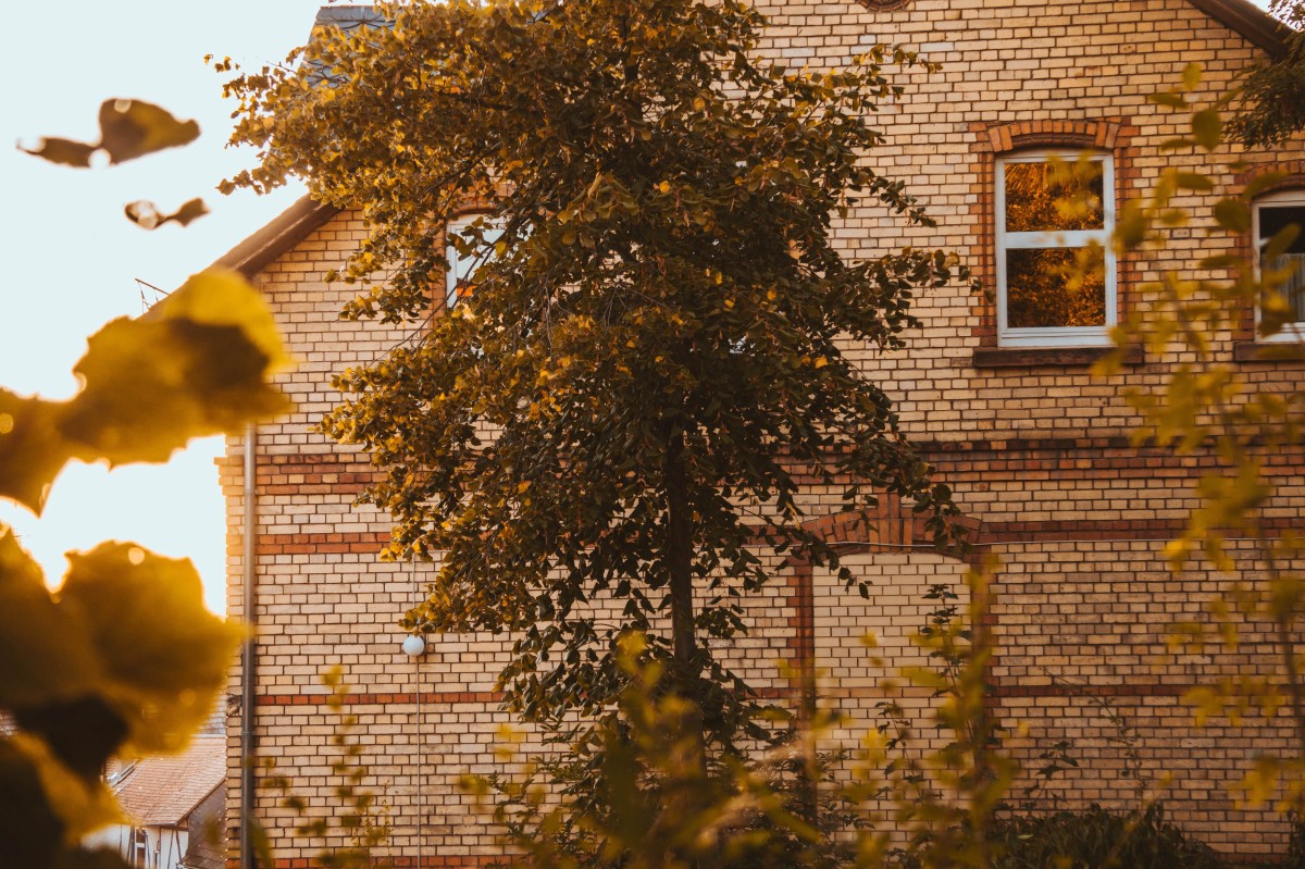 Blick nach draußen
